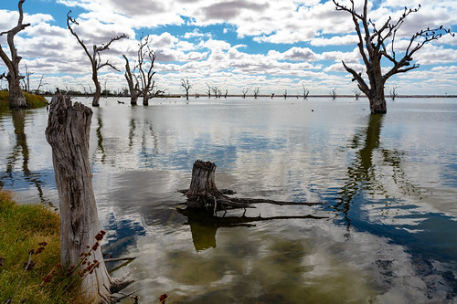 Reflections | by ian_inverarity