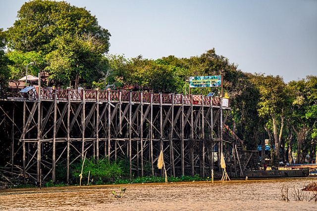 Looks like a restaurant on pedestal among some of the larger mangrove trees along the Tahas River at Kampong Phluk village, Cambodia.  980-Edit