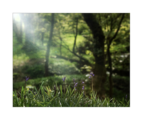 The Beginning | by Su Bayfield