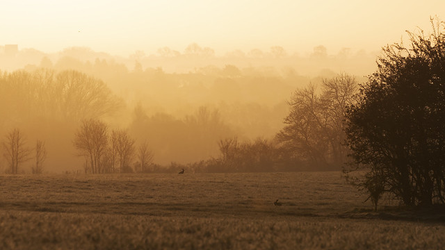 Rural England’s Dawn (2021-04-04)