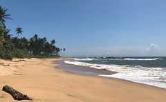 Strandspaziergang in Sri Lanka