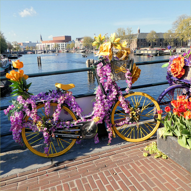Decorated bicycles on the 'Magere Brug' - 7