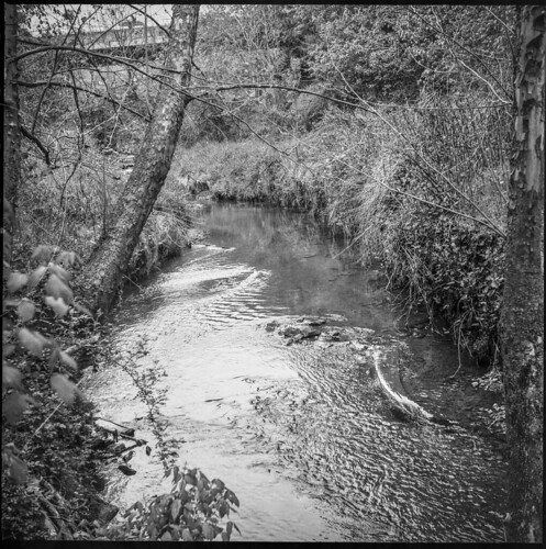 stream creek landscape spring asheville northcarolina ricoh ricohflex ricohflexdiam diacord twinlensreflex tlr 120 120film film analog mediumformat monochrome monochromatic blackandwhite 6x6