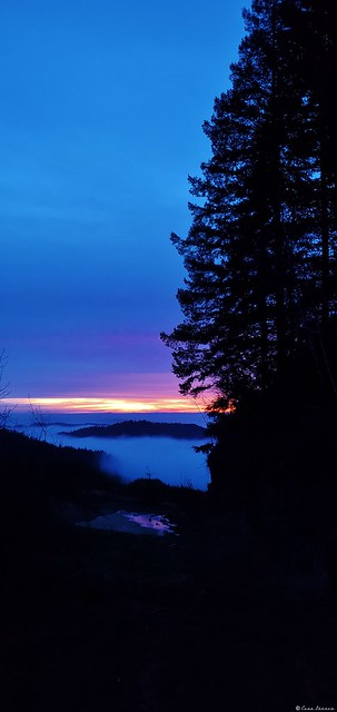 Blue Mist Sunset