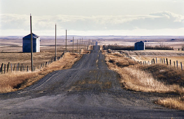 Alberta Country Road