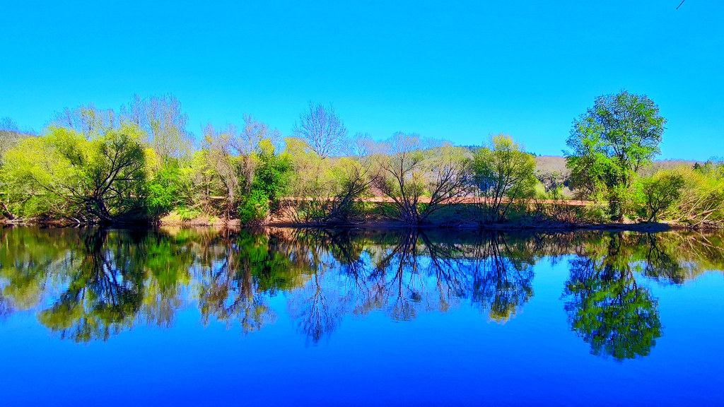 Reflection on the river
