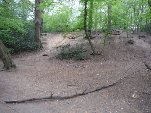 Hillock off-path, Queen's Wood SWC Short Walk 49 - Highgate Wood and Queen's Wood