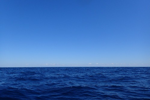 Blue Paciifc Horizon