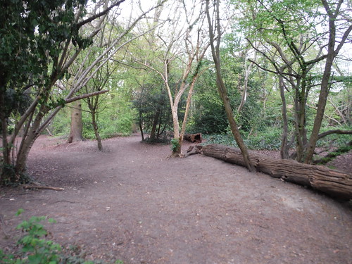 Cherry Tree Wood SWC Short Walk 49 - Highgate Wood and Queen's Wood