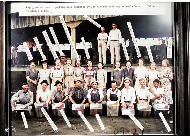 BOOK 10 (109-21) Employees of the Joe Alvarez tomato shed in the 1930s-Enhanced (2)