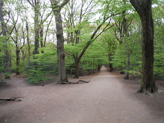 Path Junction, Highgate Wood SWC Short Walk 49 - Highgate Wood and Queen's Wood