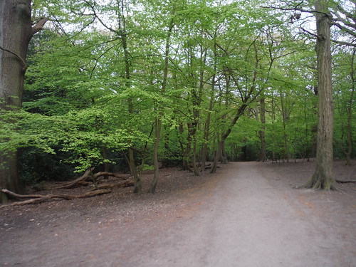 Broad Path, Highgate Wood SWC Short Walk 49 - Highgate Wood and Queen's Wood