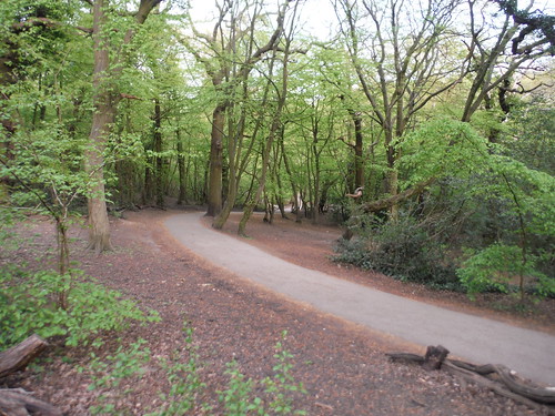 Descending Path, Queen’s Wood SWC Short Walk 49 - Highgate Wood and Queen's Wood