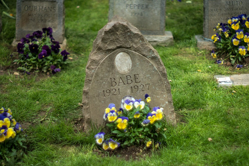 Hartsdale Pet Cemetery | by JMS2