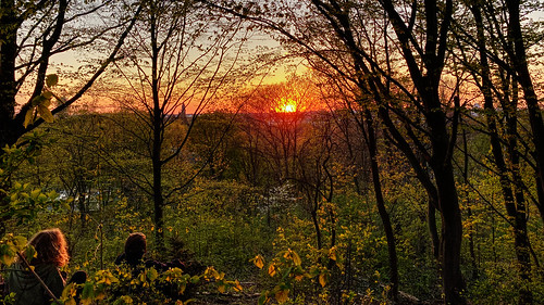 berlin sunset people orange light aoi bestcapturesaoi elitegalleryaoi