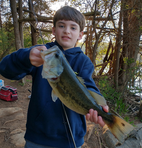 Photo of boy holding largemouth bass