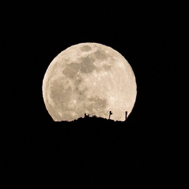 Full Moon Rising over Joshua Tree National Park