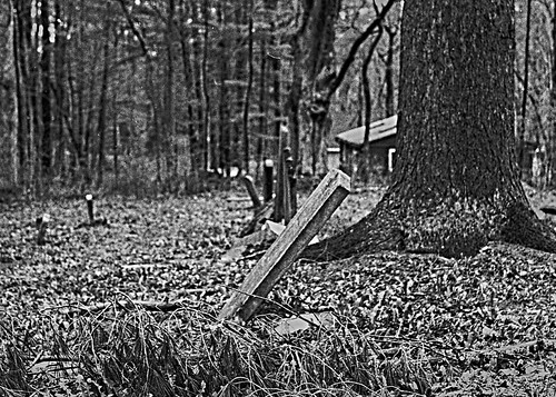 The Graves at Queechy Lake | by mattw808