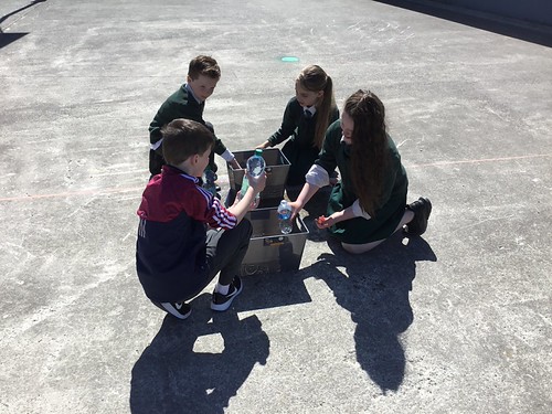 Learning about Capacity! | by scartaglenns