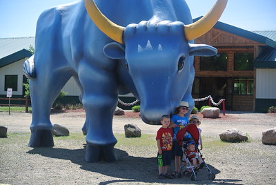 Trip to Minn
