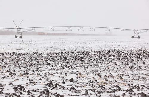 Too Soon for Irrigation | by Brian Kays