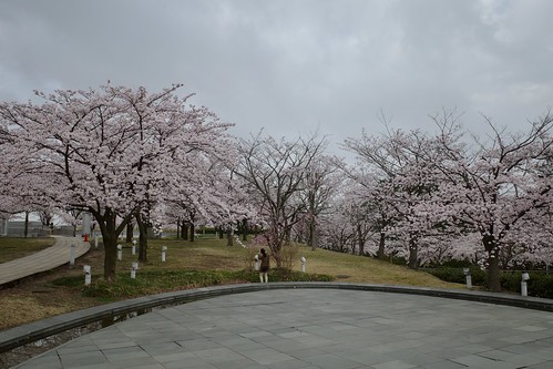 Sakura memories 2021 2