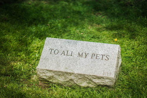Hartsdale Pet Cemetery | by JMS2