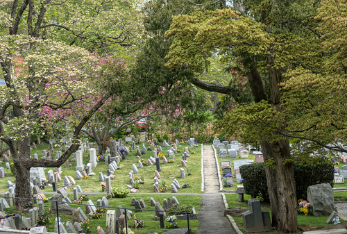 Hartsdale Pet Cemetery | by JMS2