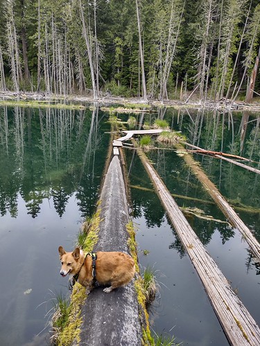 High lake