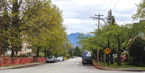 gardenvillage burnaby britishcolumbia street view barkerave coastmountains brentwood trees leaves