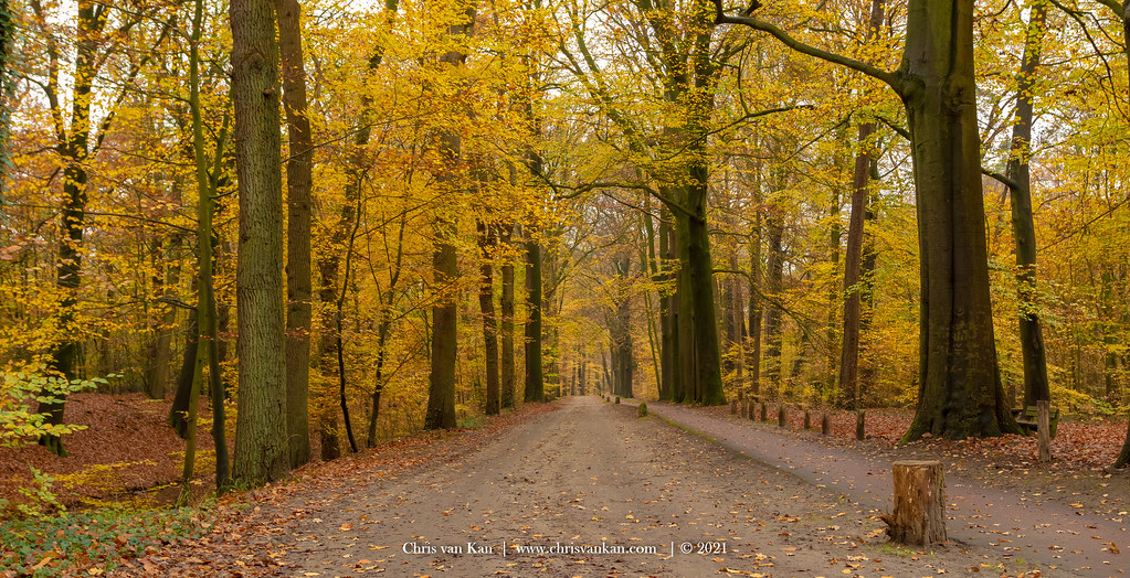 Autumn Colors, Netherlands
