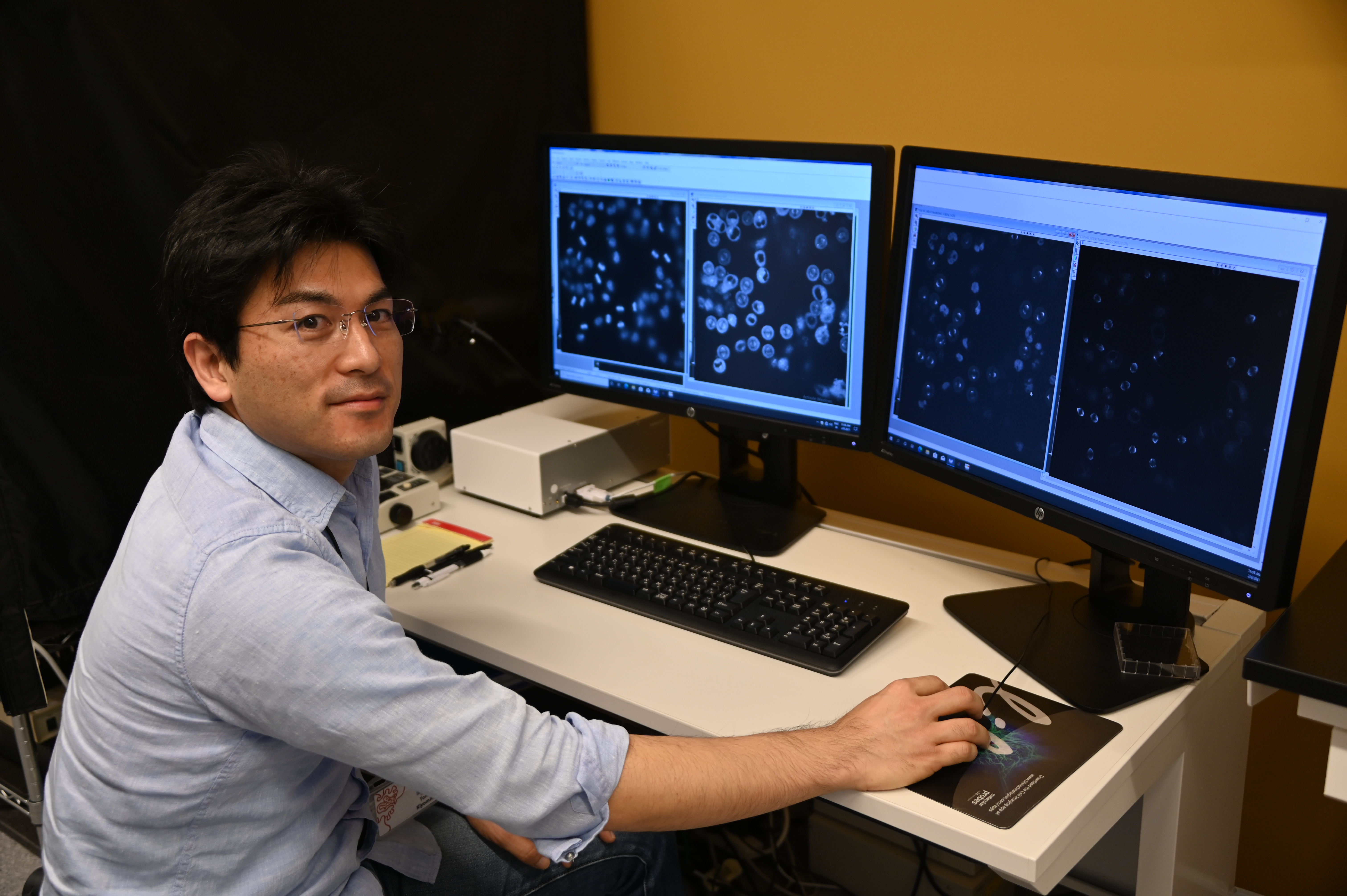 Cell Division Research Explores Questions At The Core Of Life