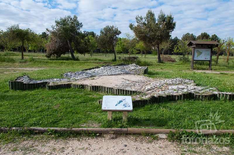 Ruta por el Parque Forestal de Polvoranca en Leganés