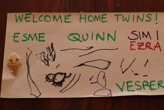welcome home sign for the twins!