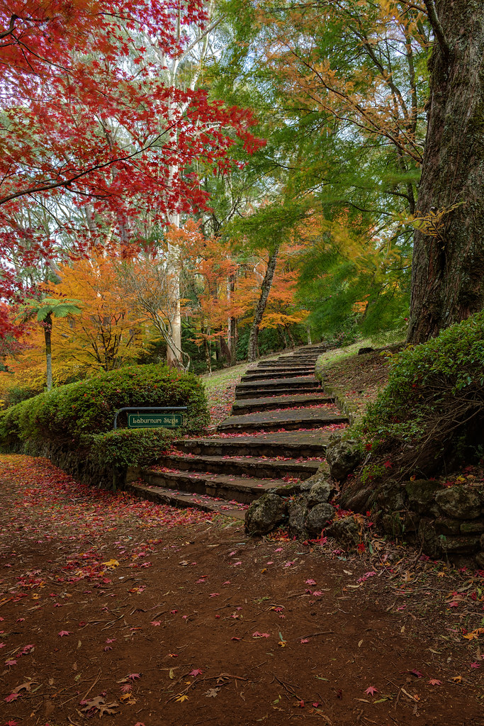 Image: Autumn at Breenhold Gardens