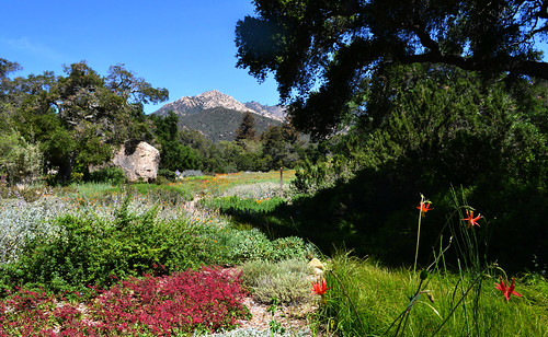 gardens california santabarbara nature beauty