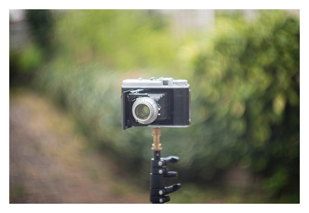 Leica Summarit 50mm f1.5 Bokeh | YouTube | Blog | Pinterest … | Flickr