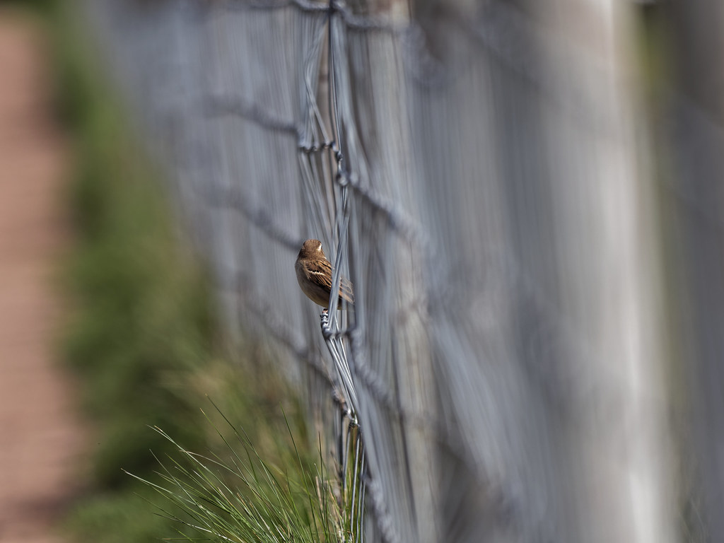 look this way | OLYMPUS DIGITAL CAMERA | Tim Gardner pics | Flickr
