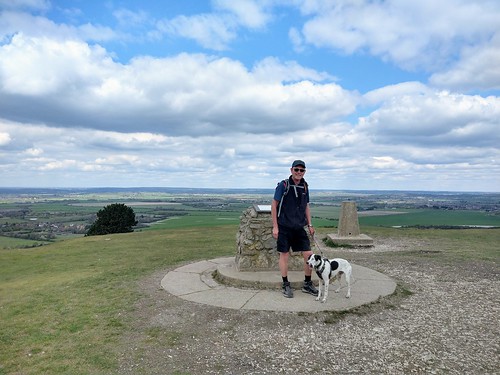 Tring to Berkhamsted via Ashridge Ivinghoe Beacon