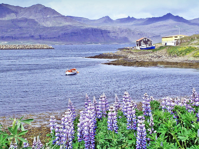 Islande, la baie avec le petit port de Djúpivogur