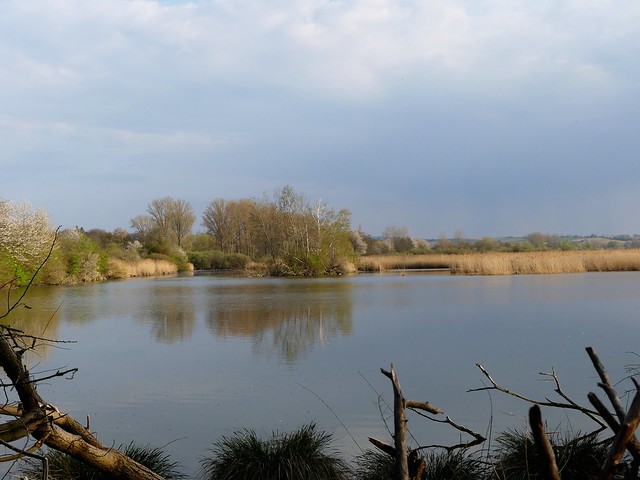 NSG Reinheimer Teich