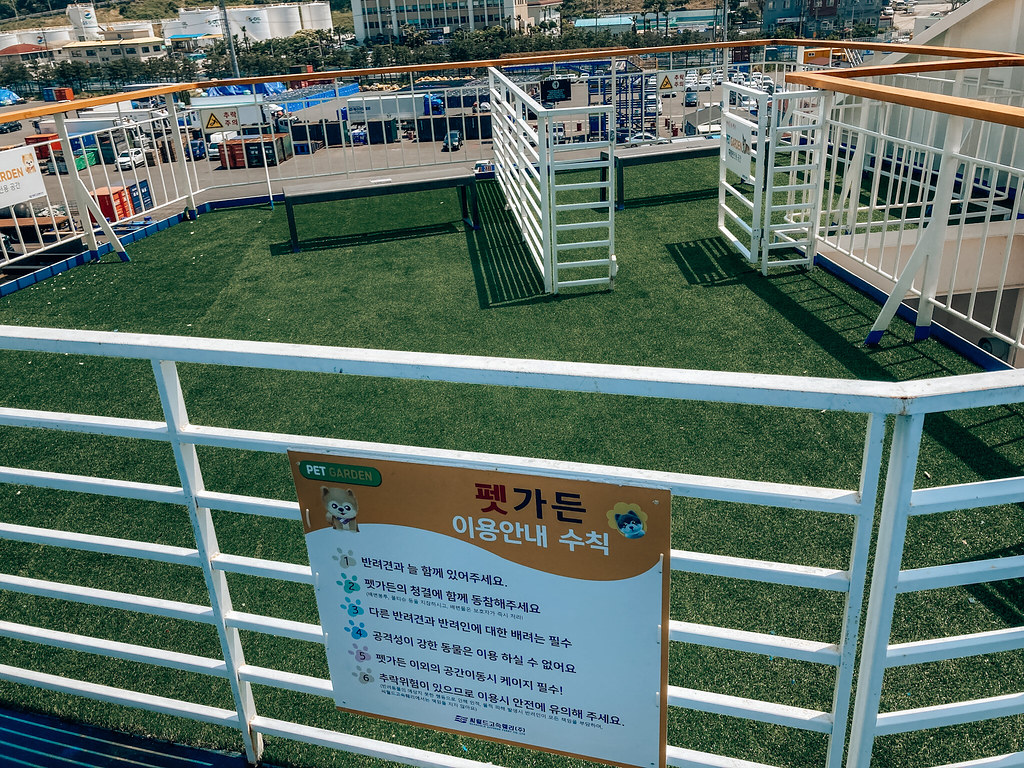 Ferry to Jeju 15