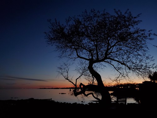 120 evening sunset silhouette bellisland norwalkct rowaytonct longislandsound