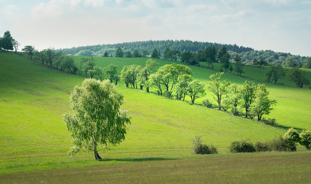 Spring in Krušné hory (Ore Mountains)