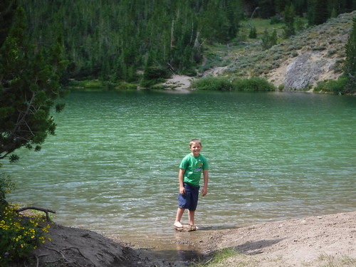 Vacation Alturas