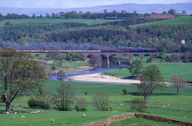 48773+45407 On Eden lacy Viaduct. 03/05/1999.