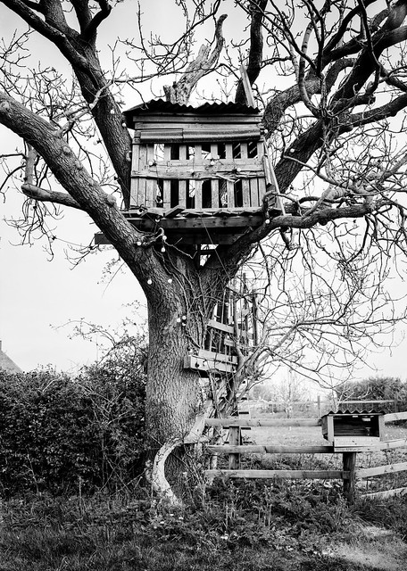 Treehouse Bulmer