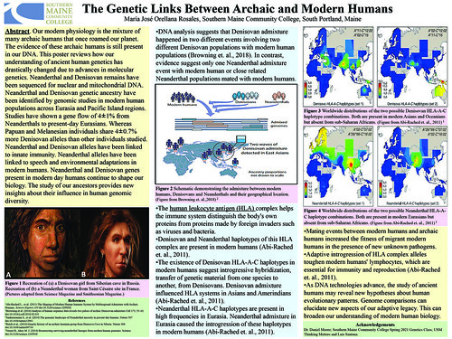 The Genetic Links between Archaic and Modern Humans