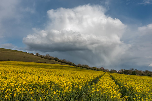 thurnham spring maidstone sonyrx100m3 rapeseed clouds kent hill northdowns detling england yellow