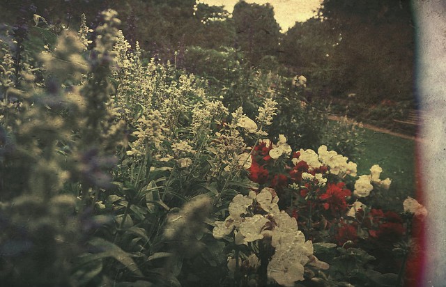 Plantation Garden, Norwich... vintage style edit.